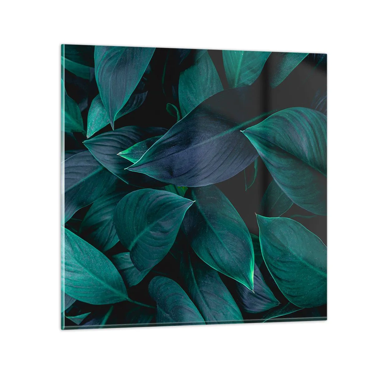 Impression sur verre - Image sur verre - le vert lui-même - 40x40 cm