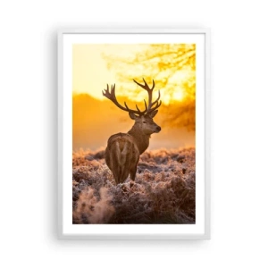 Affiche dans un cadre blanc - Poster - Roi de la forêt automnal - 50x70 cm