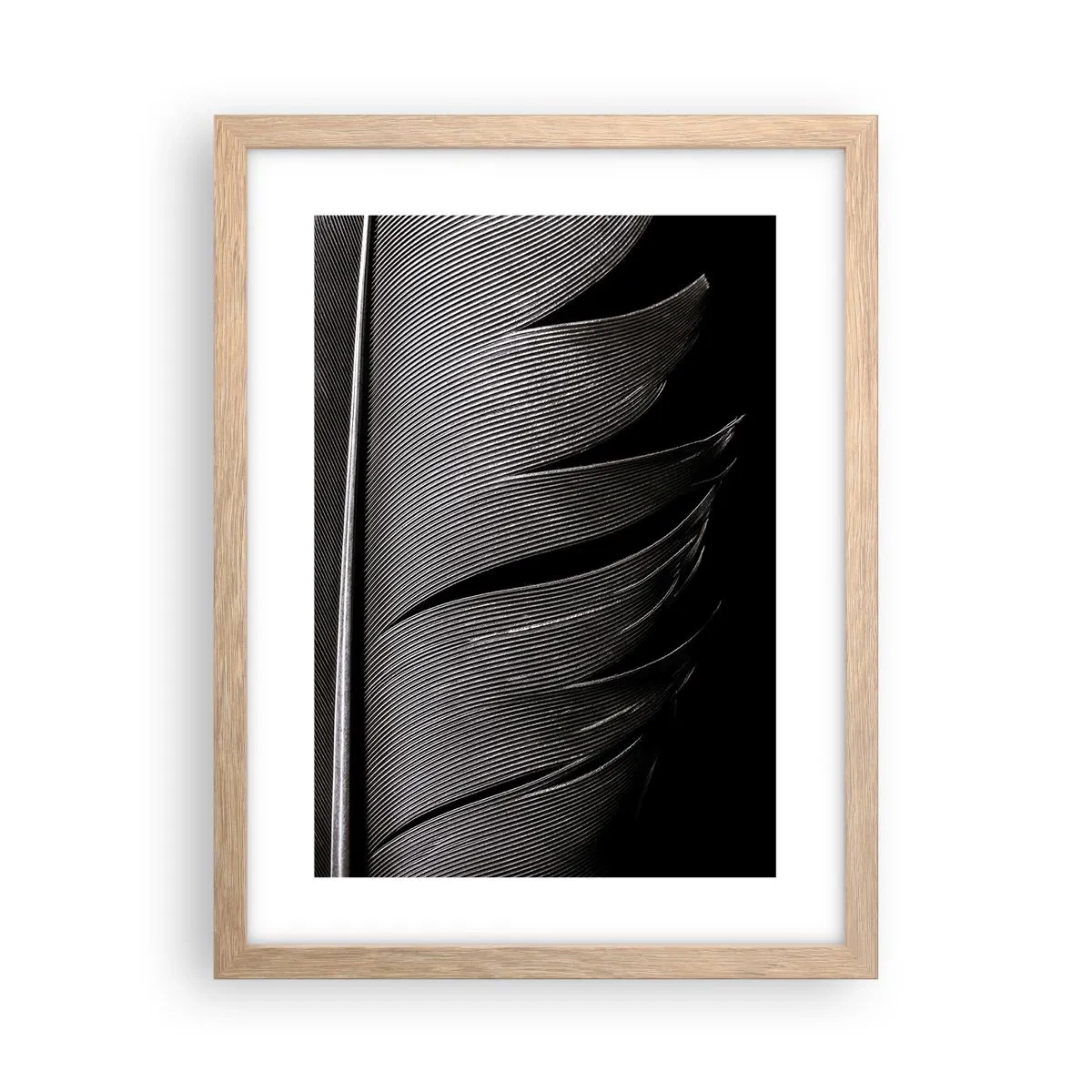 Affiche dans un chêne clair - Poster - La plume – un design magnifique - 30x40 cm