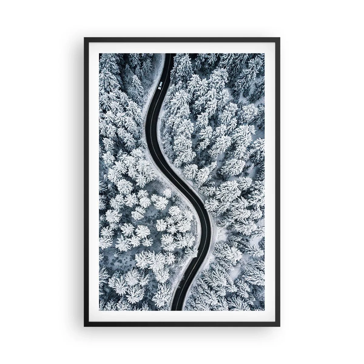 Affiche dans un cadre noir - Poster - À travers une forêt d'hiver - 61x91 cm