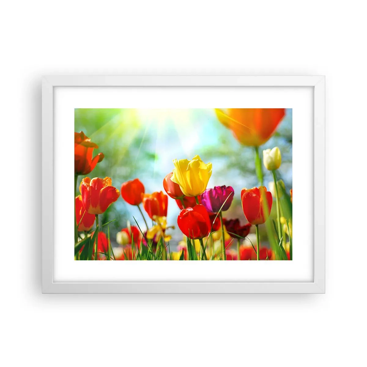 Affiche dans un cadre blanc - Poster - Toutes les couleurs du soleil - 40x30 cm