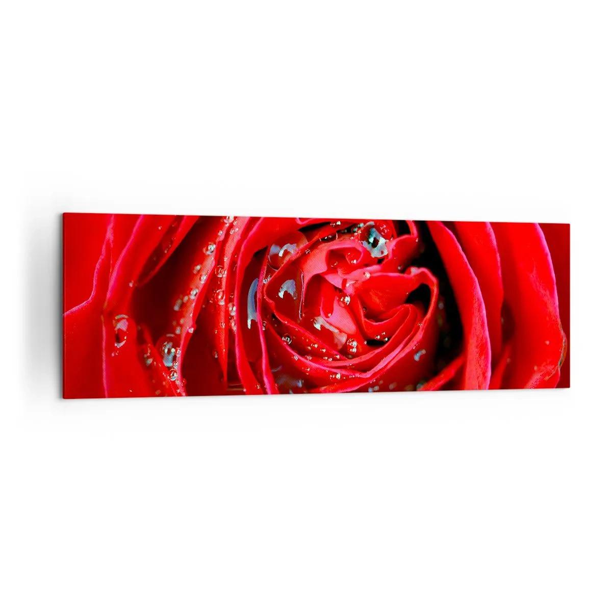 Impression sur toile - Image sur toile - Gros plan d'une rose rouge avec des gouttes d'eau sur les pétales - 160x50cm - Dans les gouttes de rosée - Décoration murale moderne pour le salon et la chambre ARTTOR