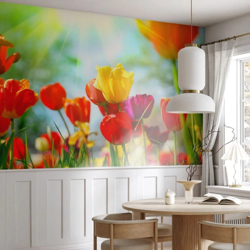 Papier Peint Photo Premium Canvas - Toutes les couleurs du soleil - Tulipes, Fleurs, Prairie - 400x280 cm
