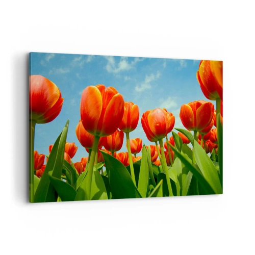 Impression sur toile - Image sur toile - Un champ de tulipes rouges et oranges contre un ciel bleu - 100x70cm - A part le ciel bleu, ils n'ont besoin de rien dans leur vie - Décoration murale moderne pour le salon et la chambre ARTTOR