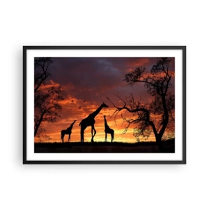 Affiche dans un cadre noir - Poster - Silhouettes de girafes sur fond de coucher de soleil africain - 70x50cm - Un petit dîner avec vos proches - Décoration murale moderne pour le salon et la chambre ARTTOR