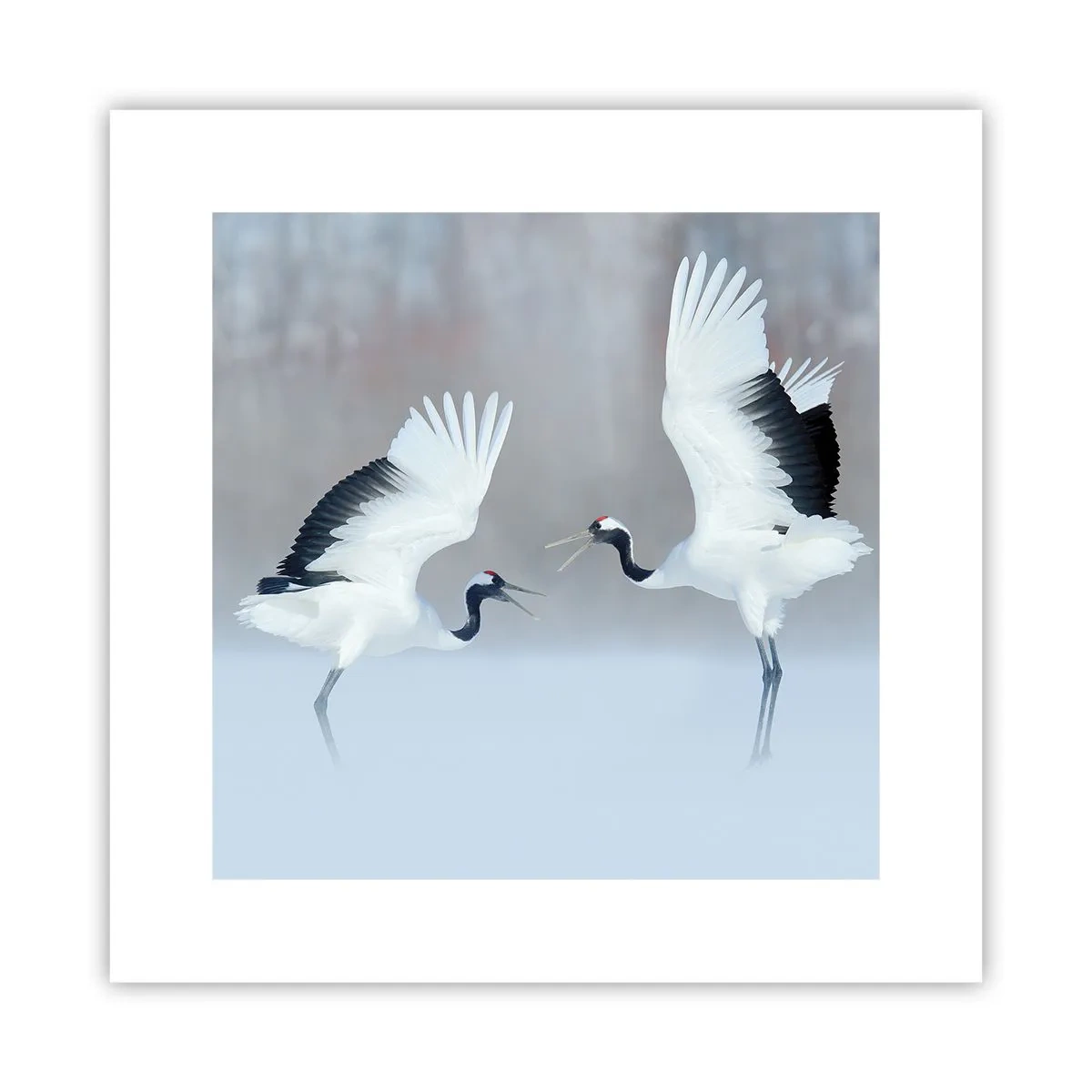 Affiche - Poster - Danse dans le brouillard - 30x30 cm