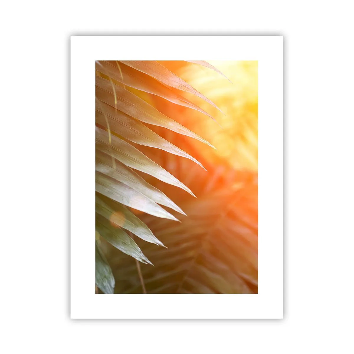 Affiche - Poster - Matinée dans la jungle - 30x40 cm