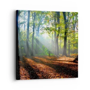 Impression sur toile - Image sur toile - Ombres et lumières - 40x40 cm