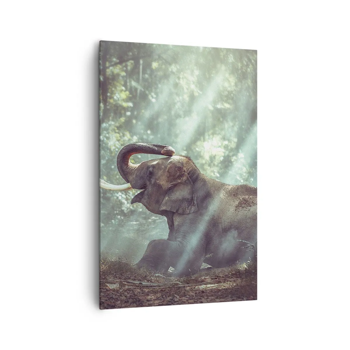 Impression sur toile - Image sur toile - Un garçon et un éléphant dans un décor forestier éclairé par la lumière du soleil - 80x120cm - Et écoute ça… - Décoration murale moderne pour le salon et la chambre ARTTOR