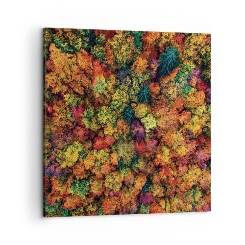 Impression sur toile - Image sur toile - Bouquet d'arbres automnal - 50x50 cm