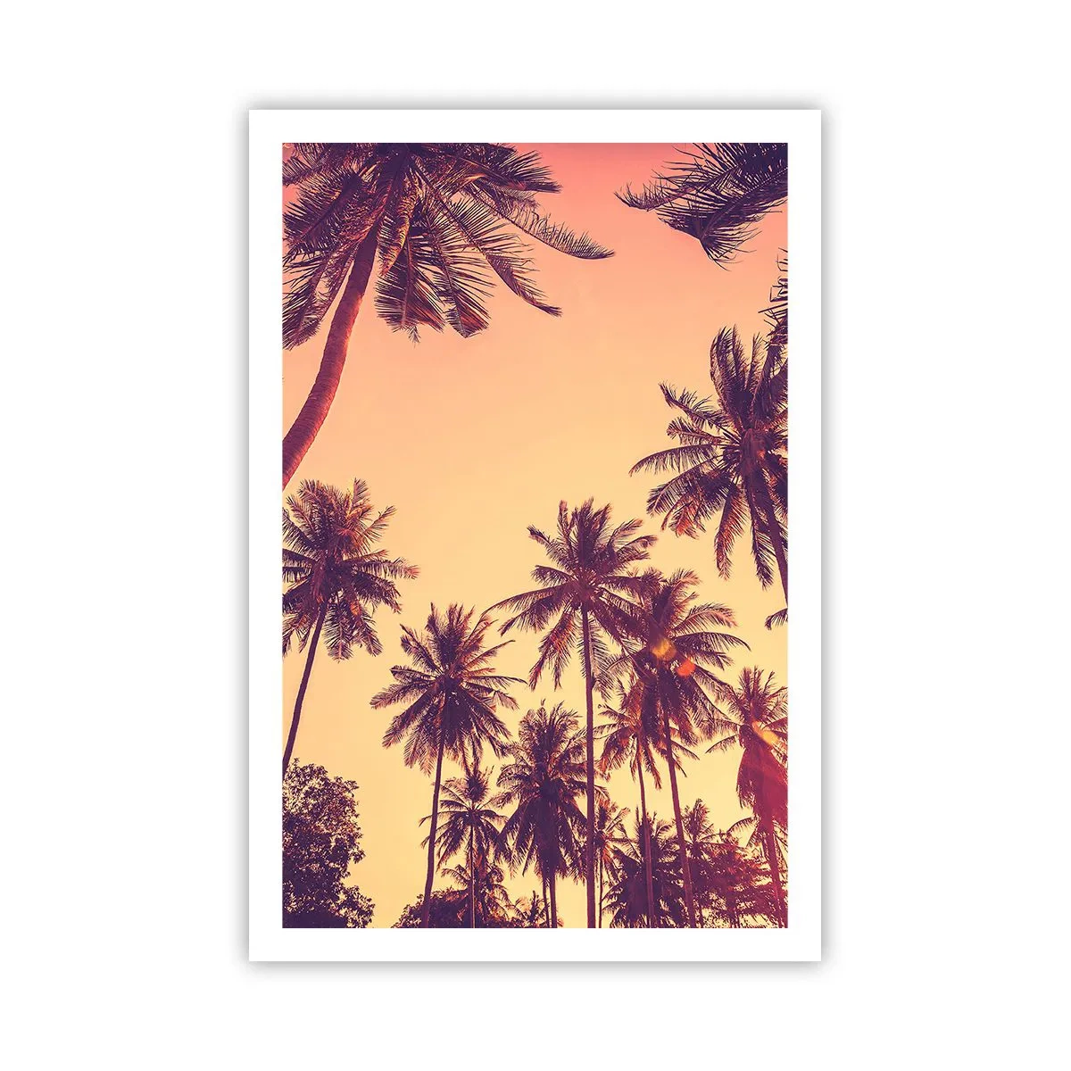 Affiche - Poster - Variation tropicale - 61x91 cm