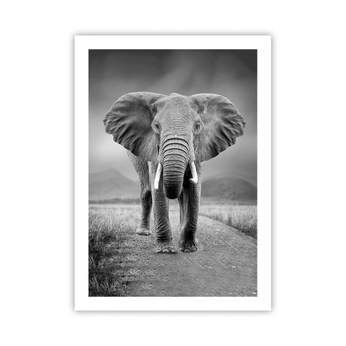 Affiche - Poster - Un éléphant sur un paysage africain en noir et blanc - 50x70cm - Les hôtes vous saluent - Décoration murale moderne pour le salon et la chambre ARTTOR