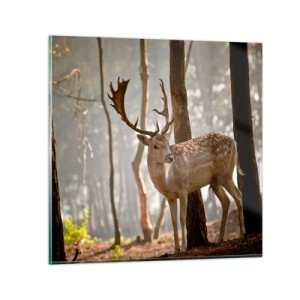 Impression sur verre - Image sur verre - La lumière de la jeunesse - 30x30 cm