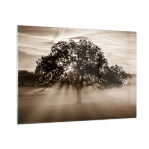 Impression sur verre - Image sur verre - Un arbre dans le brouillard matinal avec les rayons du soleil qui brillent à travers les branches - 100x70cm - Arbre de bonnes nouvelles - Décoration murale moderne pour le salon et la chambre ARTTOR