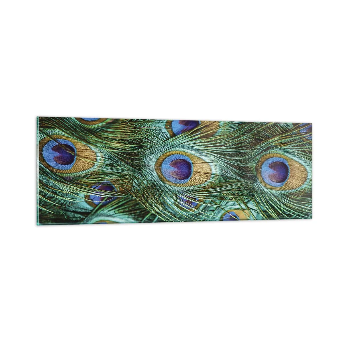 Impression sur verre - Image sur verre - Un regard de paon - 90x30 cm