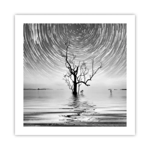 Affiche - Poster - La symphonie de la nature - 50x50 cm