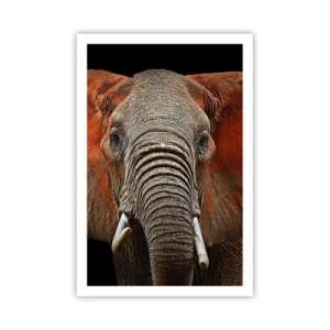 Affiche - Poster - Je suis sauvage, et toi? - 61x91 cm