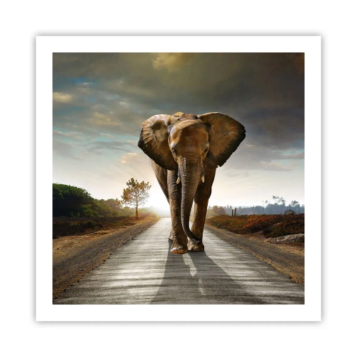 Affiche - Poster - Et pas du tout en porcelaine - 60x60 cm