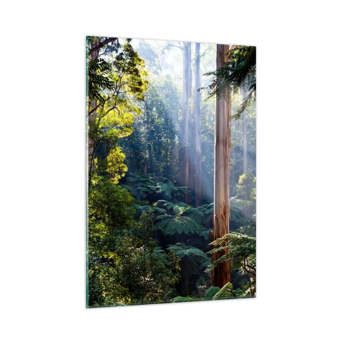 Impression sur verre - Image sur verre - Forêt tropicale verte avec des rayons de soleil - 50x70cm - Fable de la forêt - Décoration murale moderne pour le salon et la chambre ARTTOR
