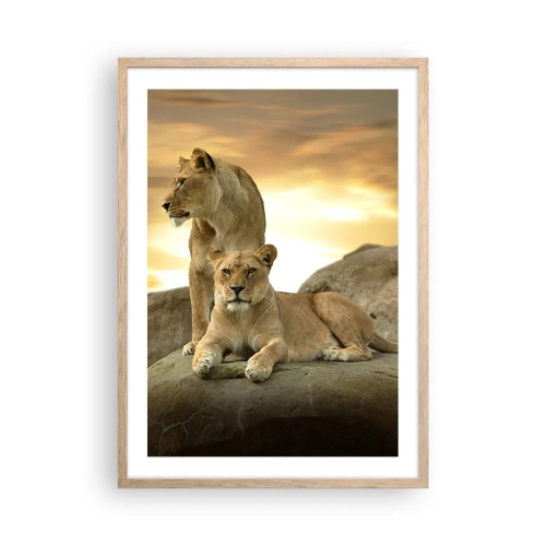 Affiche dans un chêne clair - Poster - Majesté royale - 50x70 cm