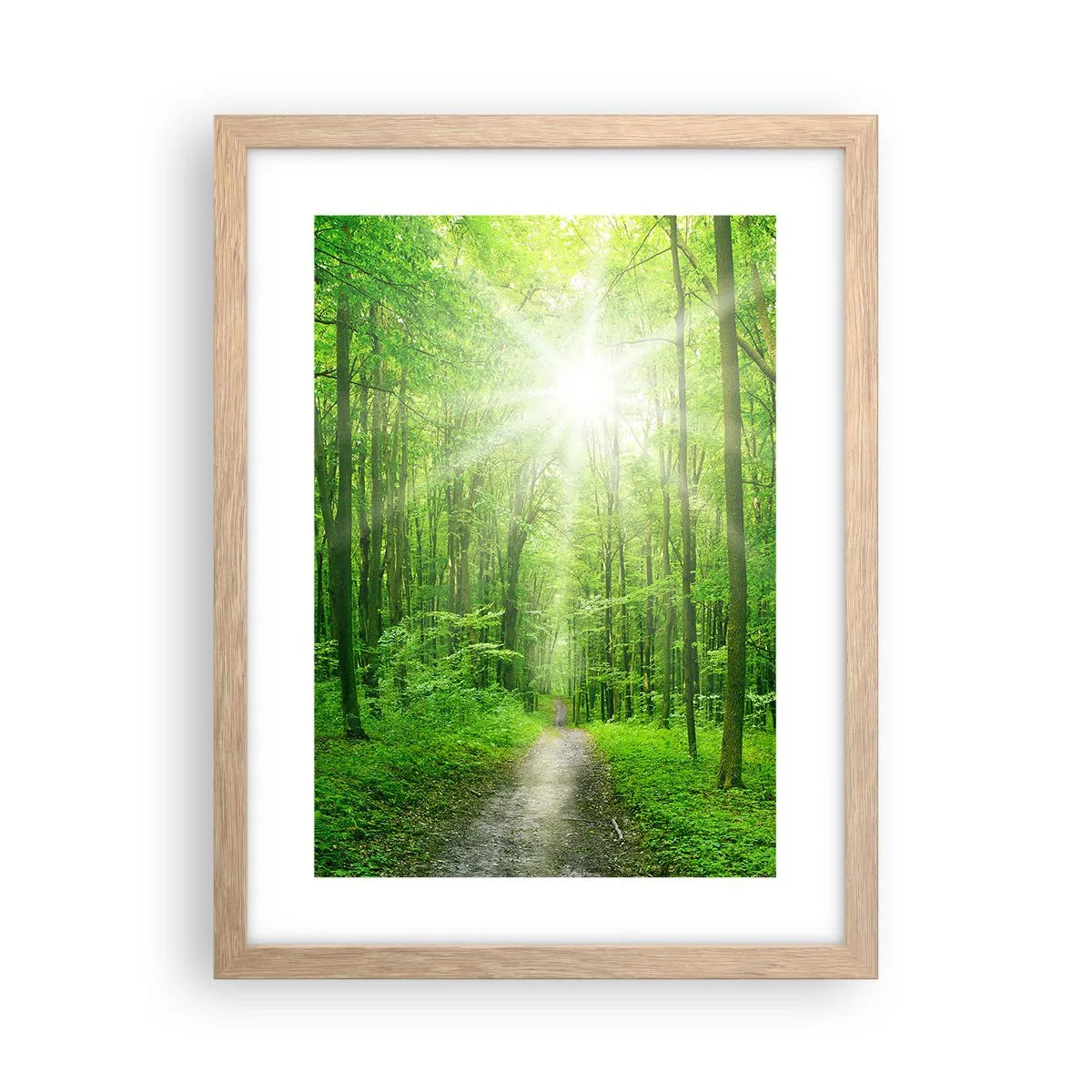 Affiche dans un chêne clair - Poster - Cathédrale verte - 30x40 cm