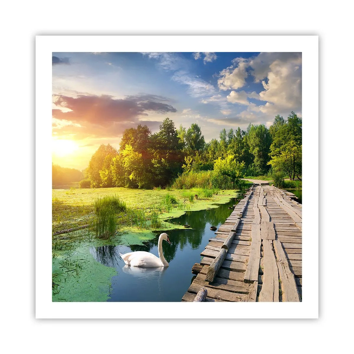 Affiche - Poster - L'été, l'été partout - 60x60 cm