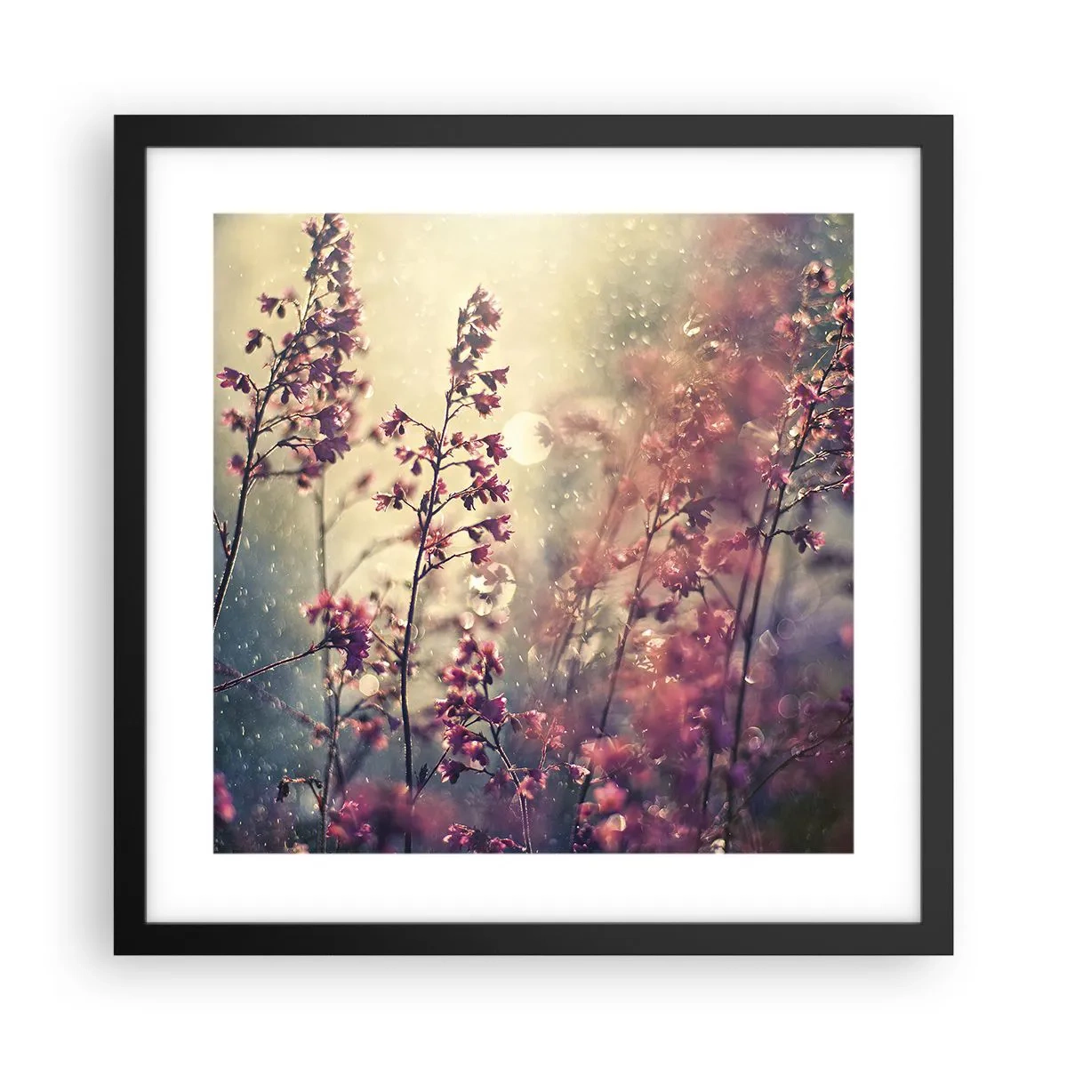 Affiche dans un cadre noir - Poster - Jardin secret - 40x40 cm