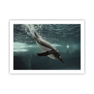 Affiche - Poster - Bienvenue dans mon monde - 70x50 cm