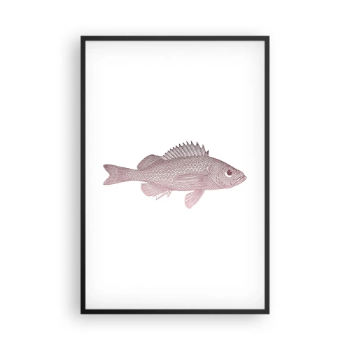 Affiche dans un cadre noir - Poster - Poisson aux grands yeux - 61x91 cm