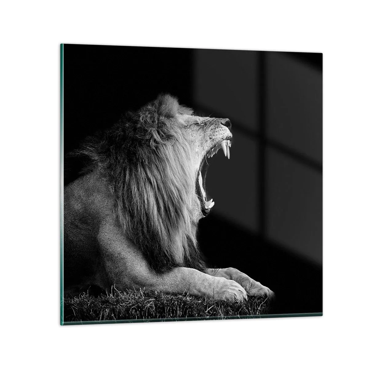 Impression sur verre - Image sur verre - Sans aucun doute - 30x30 cm