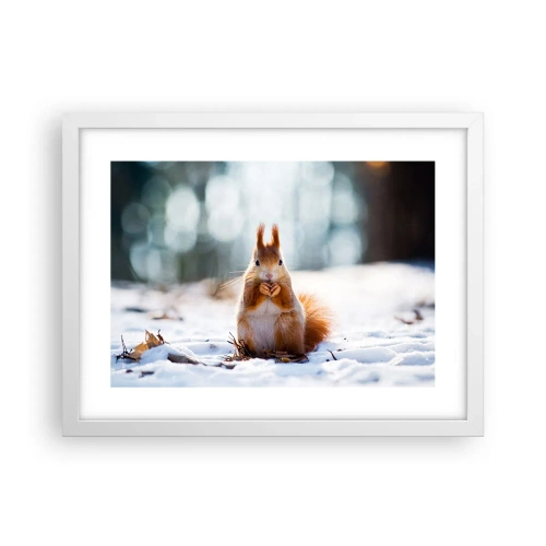 Affiche dans un cadre blanc - Poster - Qu'est ce que tu regardes comme ça? - 40x30 cm