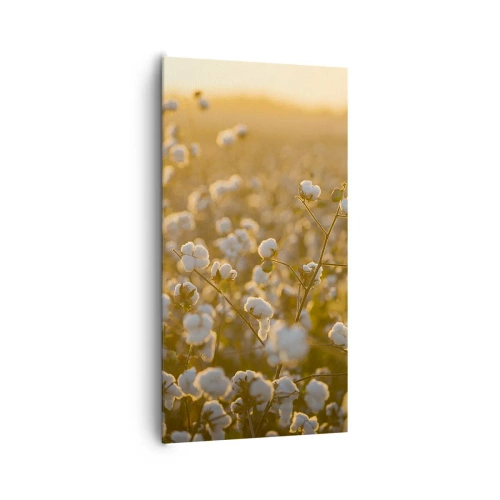 Impression sur toile - Image sur toile - Champ moelleux - 65x120 cm
