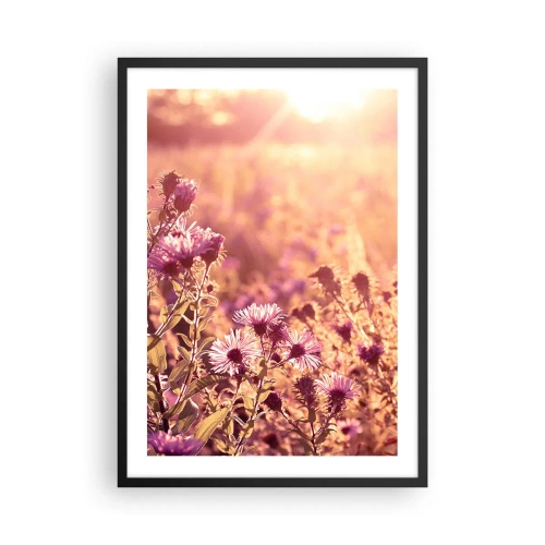 Affiche dans un cadre noir - Poster - Un champ de fleurs violettes à la lumière du soleil couchant - 50x70cm - Avant que l'été ne parte - Décoration murale moderne pour le salon et la chambre ARTTOR