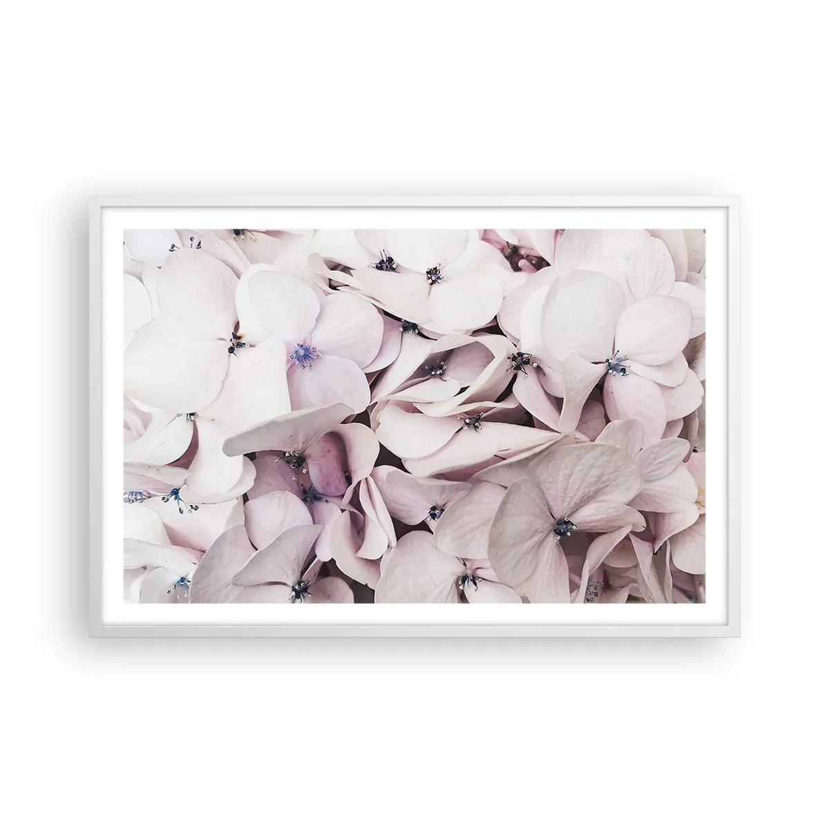 Affiche dans un cadre blanc - Poster - Dans un flot de fleurs - 91x61 cm