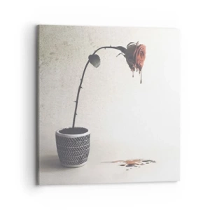 Impression sur toile - Image sur toile - Rosa dolorosa - 70x70 cm