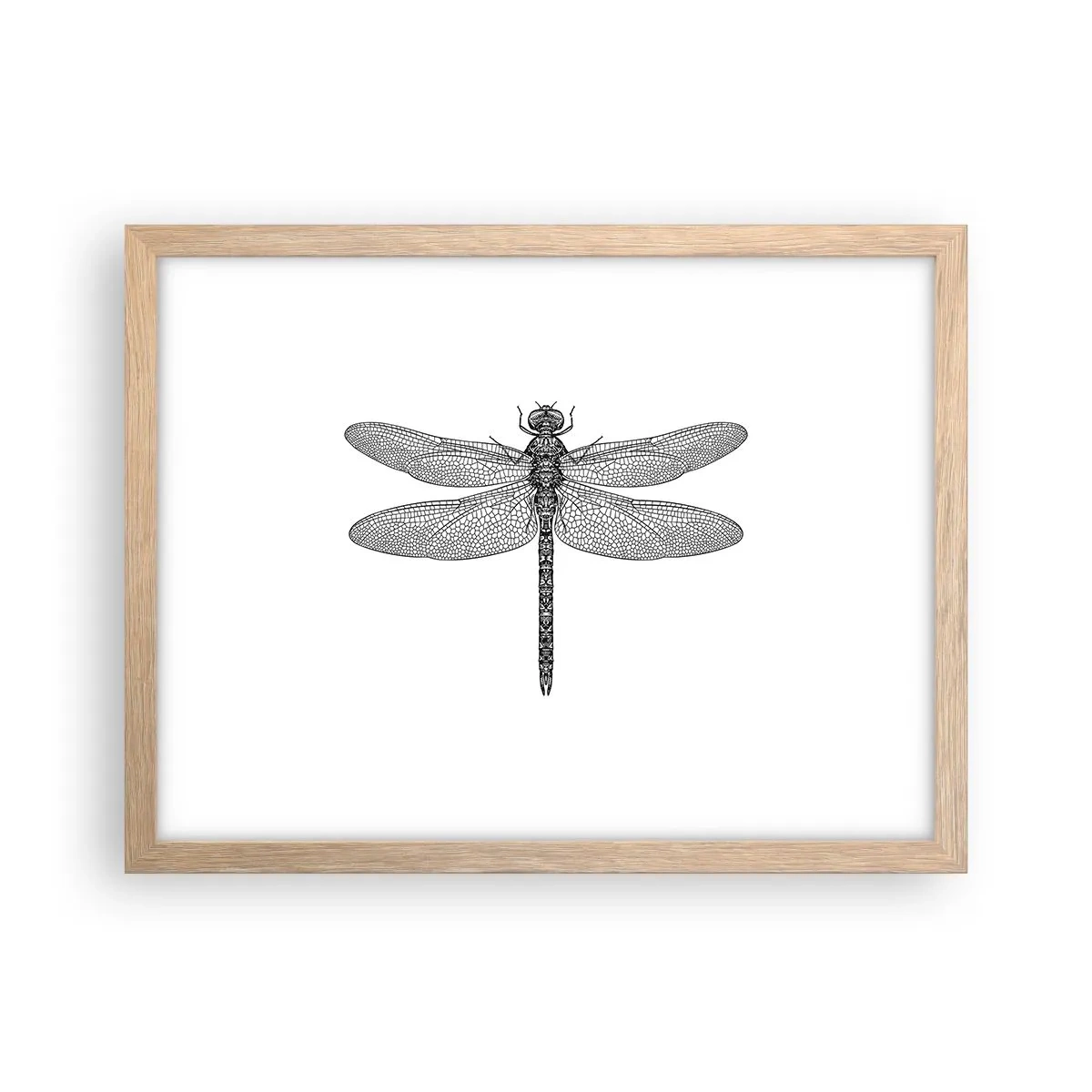 Affiche dans un chêne clair - Poster - Précision de la nature - 40x30 cm