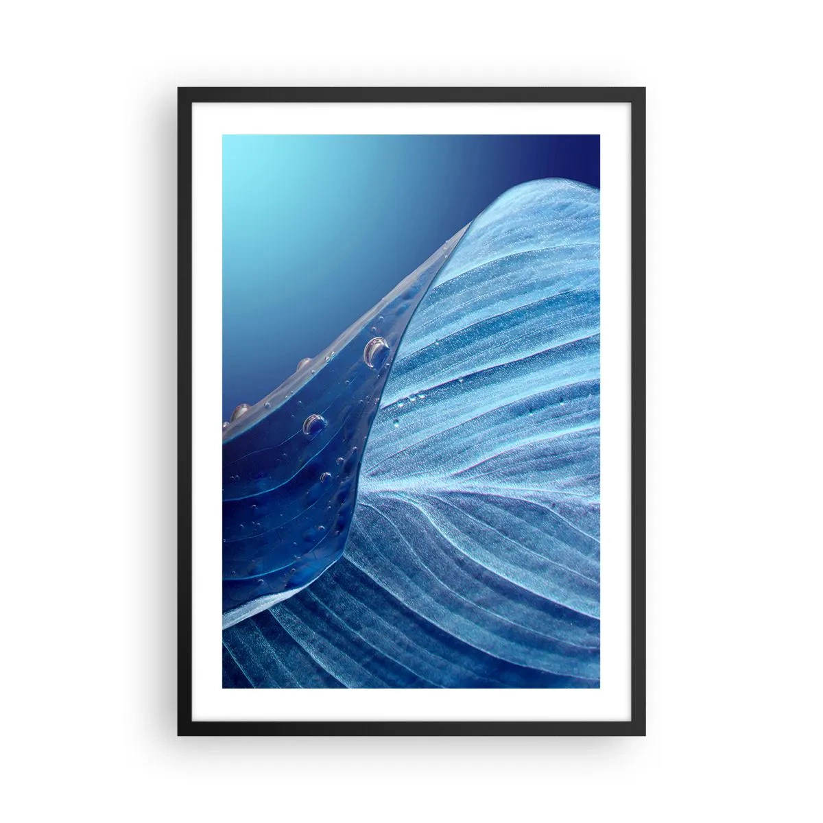 Affiche dans un cadre noir - Poster - Une feuille avec des gouttes d'eau dans des tons de bleu - 50x70cm - Gouttes cachées du bleu - Décoration murale moderne pour le salon et la chambre ARTTOR