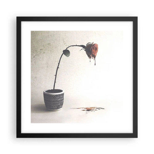 Affiche dans un cadre noir - Poster - Rosa dolorosa - 40x40 cm