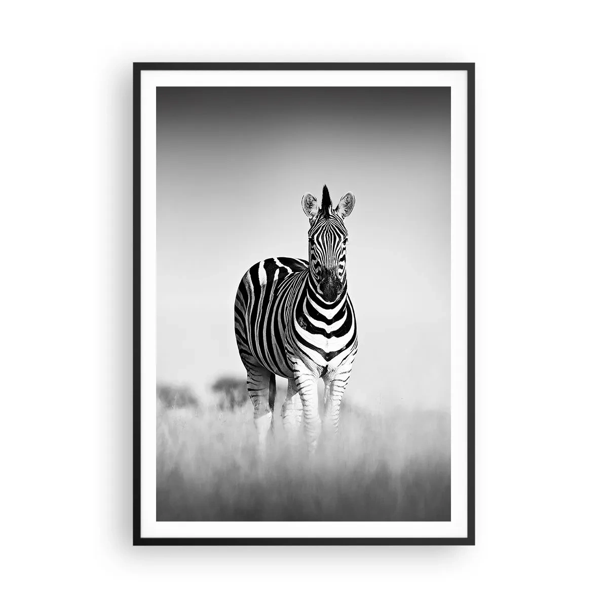 Affiche dans un cadre noir - Poster - Le monde est bel et bien noir et blanc - 70x100 cm