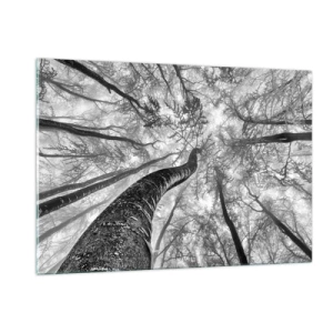 Impression sur verre - Image sur verre - Arbres en noir et blanc photographiés d'en bas vers le ciel - 120x80cm - Course vers la lumière - Décoration murale moderne pour le salon et la chambre ARTTOR
