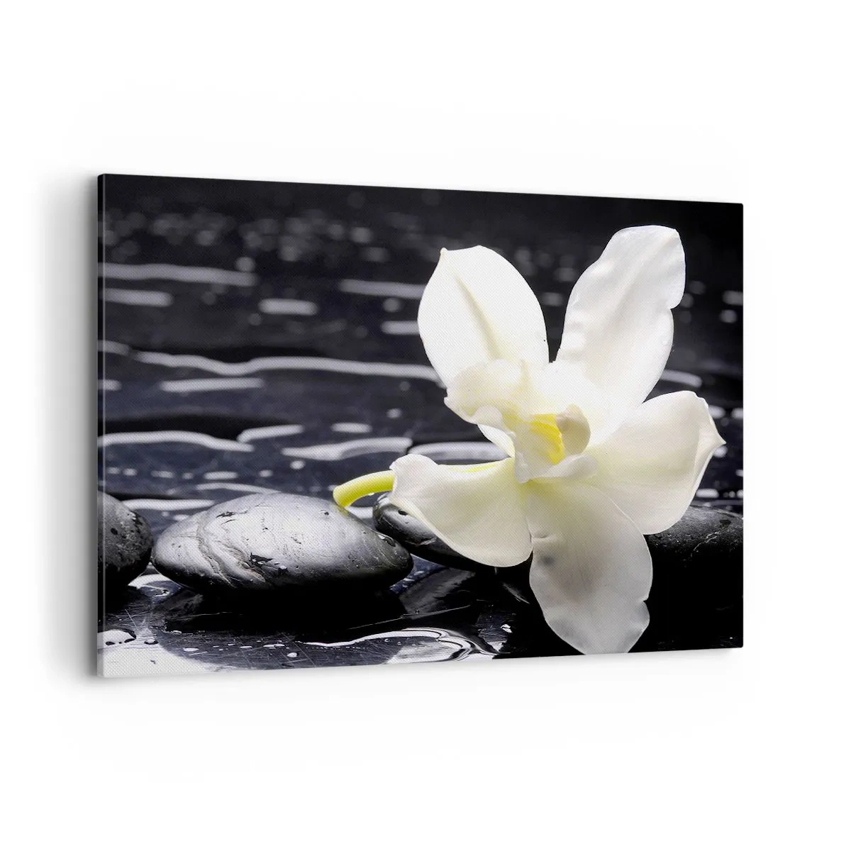 Impression sur toile - Image sur toile - Une orchidée blanche sur un fond de pierres noires et d'eau. - 100x70cm - Étude en noir et blanc - Décoration murale moderne pour le salon et la chambre ARTTOR
