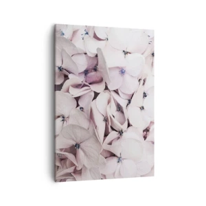 Impression sur toile - Image sur toile - Hortensias blancs délicats aux tons pastel - 50x70cm - Dans un flot de fleurs - Décoration murale moderne pour le salon et la chambre ARTTOR