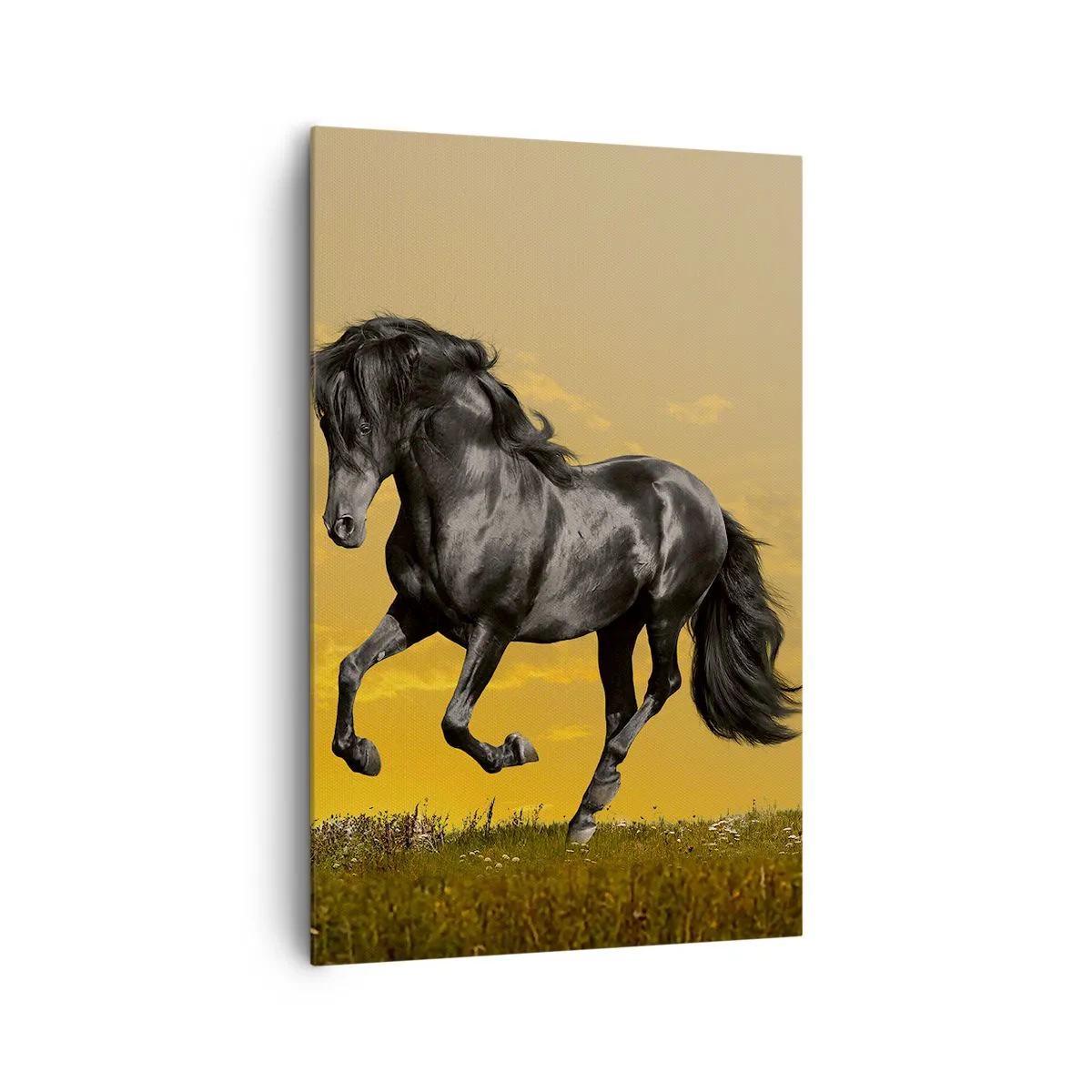 Impression sur toile - Image sur toile - Un cheval noir galope sur fond de coucher de soleil doré. - 80x120cm - Beau, libre et sauvage - Décoration murale moderne pour le salon et la chambre ARTTOR
