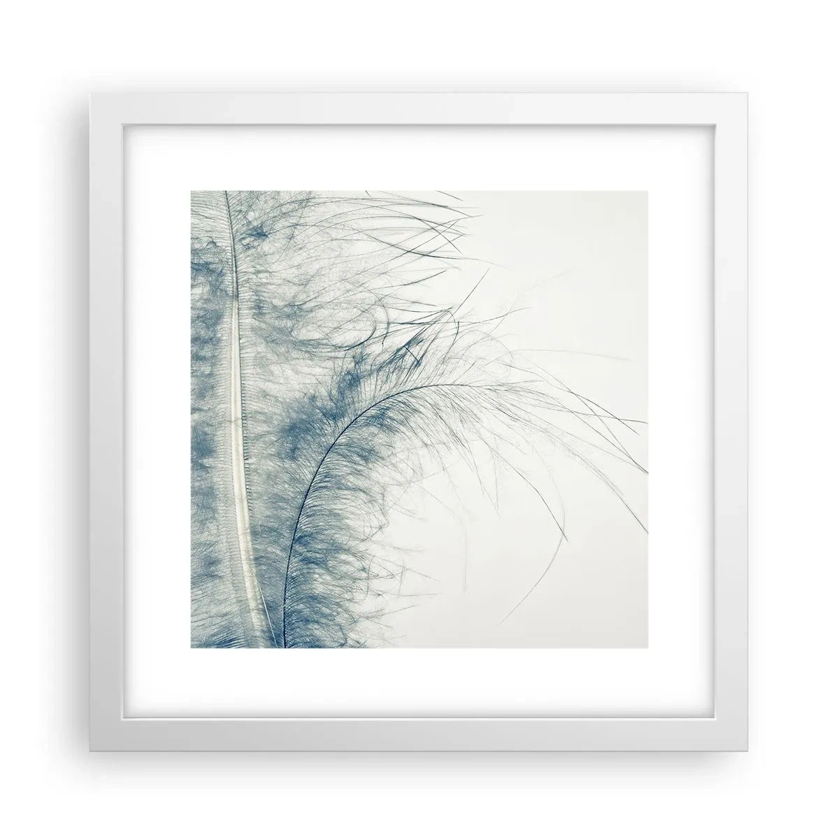 Affiche dans un cadre blanc - Poster - Les sept natures - 30x30 cm