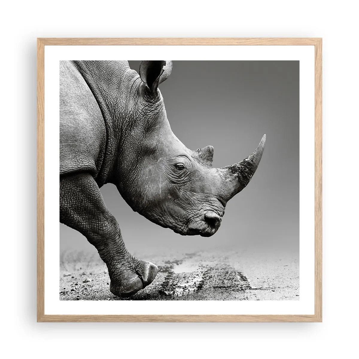 Affiche dans un chêne clair - Poster - Force inarrêtable - 60x60 cm