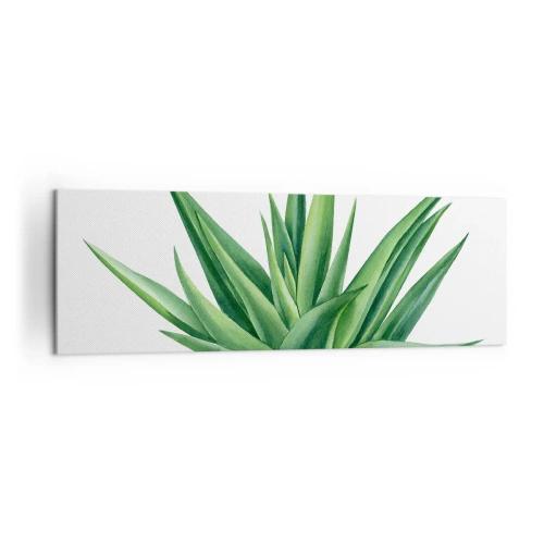 Impression sur toile - Image sur toile - Une plante verte juteuse sur fond blanc - 160x50cm - Vert – force – vie - Décoration murale moderne pour le salon et la chambre ARTTOR