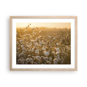 Affiche dans un chêne clair - Poster - Champ moelleux - 50x40 cm