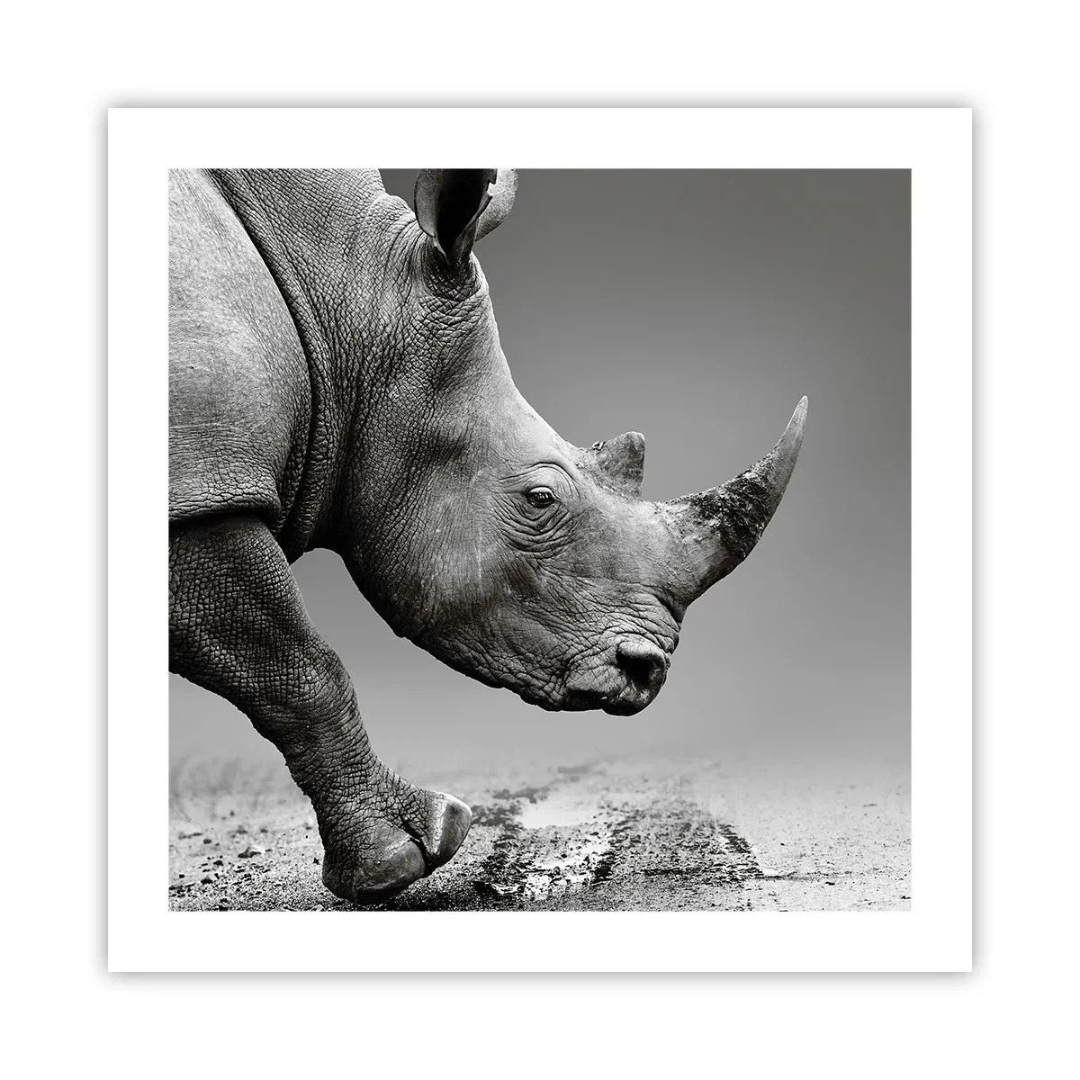 Affiche - Poster - Force inarrêtable - 50x50 cm