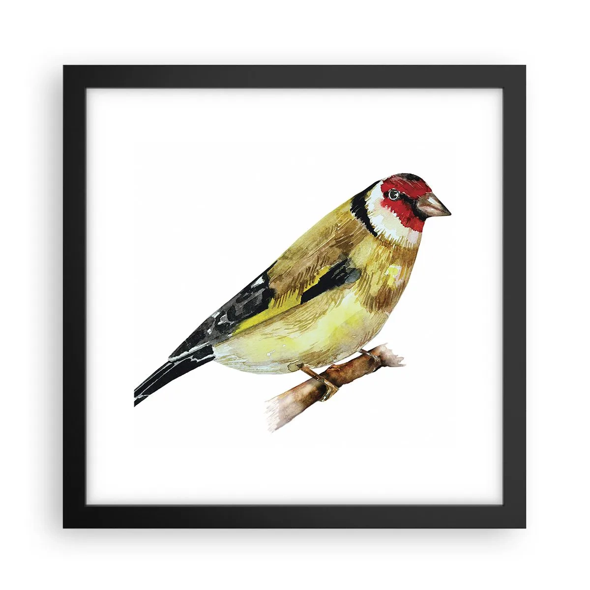 Affiche dans un cadre noir - Poster - Portrait d'oiseau - 30x30 cm