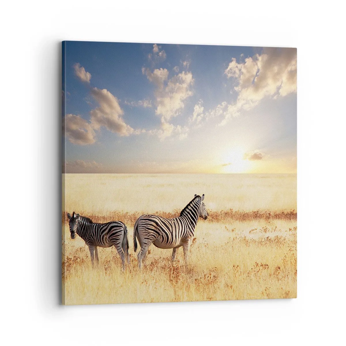 Impression sur toile - Image sur toile - Va-t'en, n'ai pas de paix - 70x70 cm